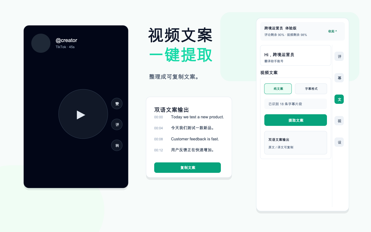 草堆翻译助手从 TikTok 视频提取文案并显示双语内容